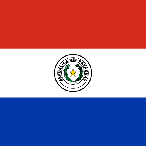 Free Vector Flag of py-square-01