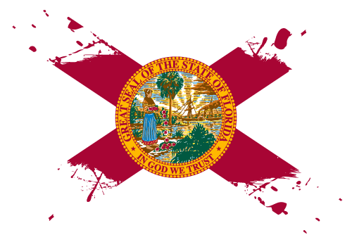 Florida - Ink Splat